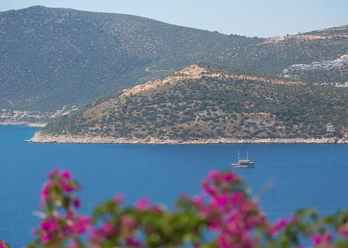 Kiki 别墅 卡尔坎